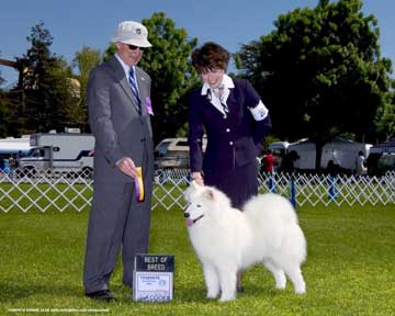Lhotse takes Breed - Judge Josephy Gregory