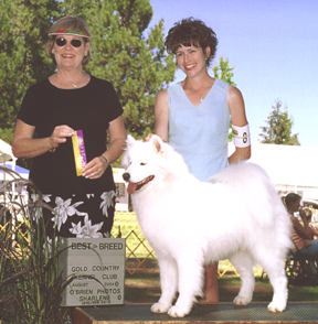 Lhotse takes Breed under Judge Mrs. Dorothy Collier