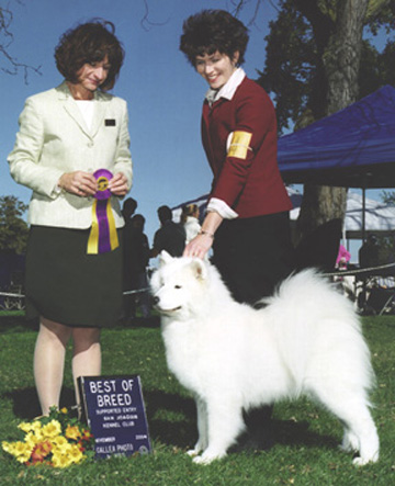 Lhotse takes Breed under Judge Lia Benson