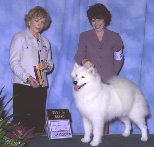 Lhotse takes Breed - Judge Judith Goodin