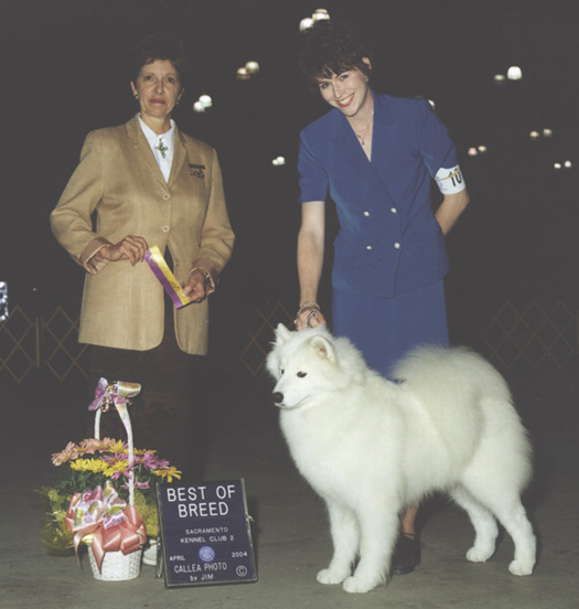 Lhotse takes breed Judge JA Harrington