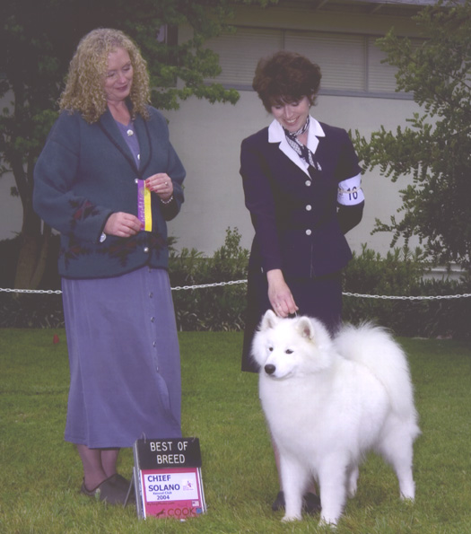 Lhotse takes Breed - Judge Miss Kimberly Anne Meredith-Cavanna