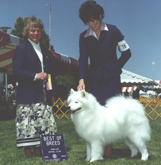Lhotse takes Breed - Judge Mrs Sally Berger