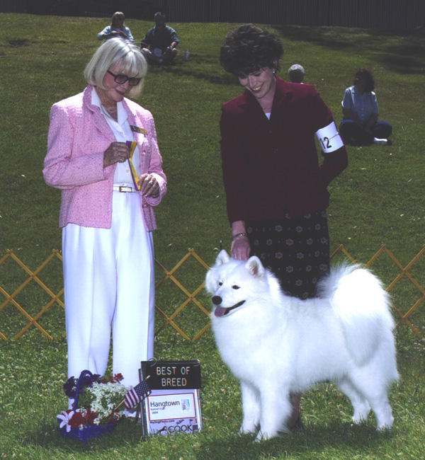 Lhotse takes Breed under Judge Mrs. Patricia Gellerman