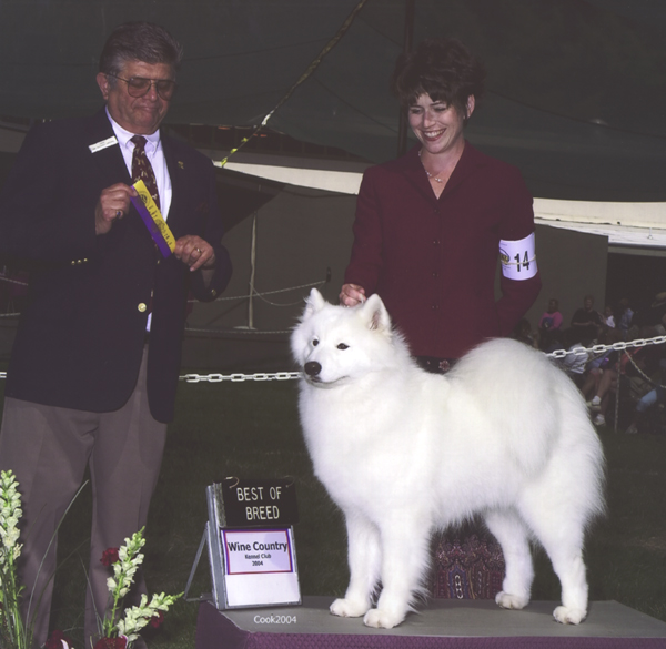Lhotse takes Breed under Judge Mr. Vincent Grosso