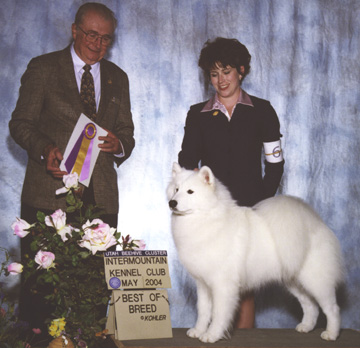 Lhotse takes Breed under Judge Stephen Hubbell