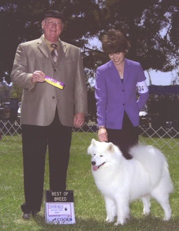 Lhotse takes Breed under Judge Mr. Donavan Thompson