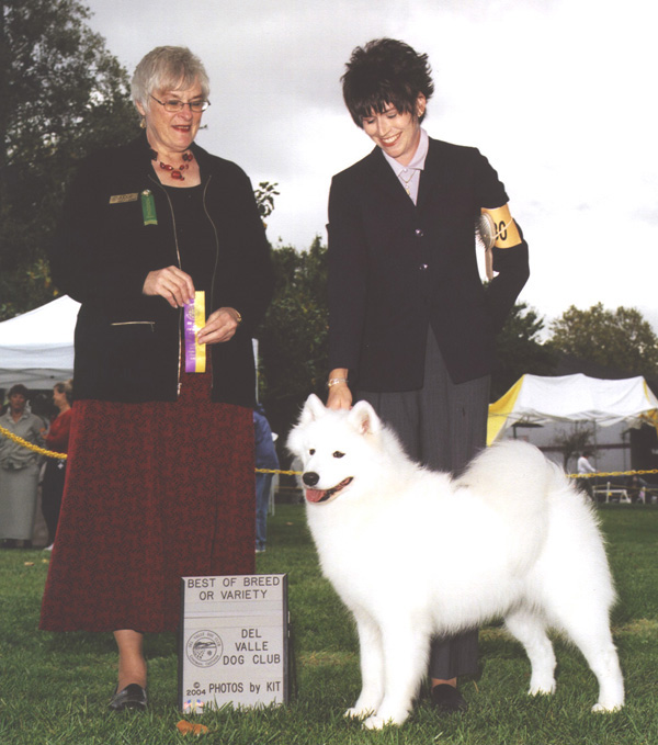 Lhotse takes Breed under Judge Mrs. Charolette McGowan